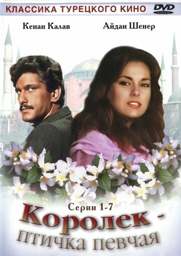 Королёк - птичка певчая Королёк - птичка певчая